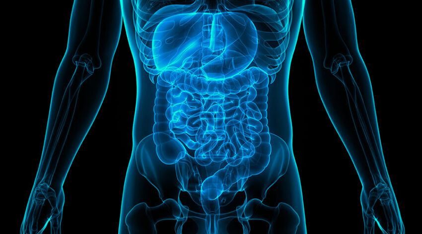 Choosing Digestive Care Options Based On Individual Health Requirements